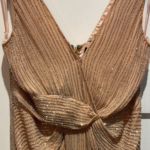 Parker Black Monarch Beaded Blush/Nude Gown - Size 6 - Picture 7 of 15